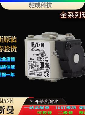 巴斯曼170M3559 170M3560 170M3561 厂价直销批零兼营 方体熔断器