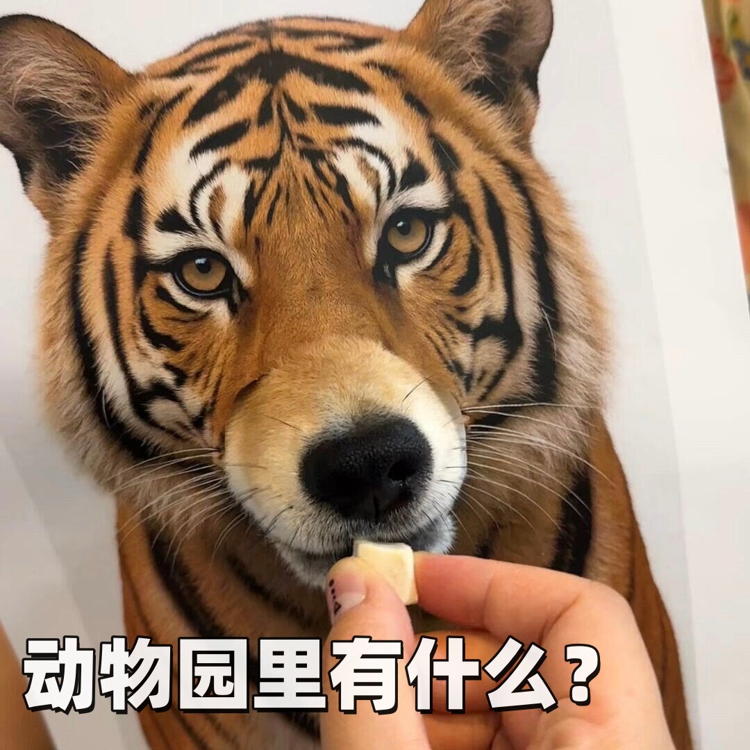 动物园里有什么？模具