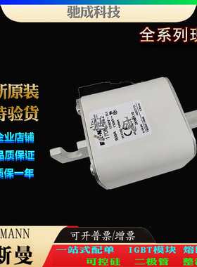 巴斯曼170M6251 170M6252 170M6253 大量现货 销售 快速保险丝