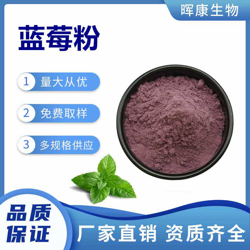 蓝莓粉 蓝莓果粉 蓝莓汁粉 SC工厂 现货供应 量大从优