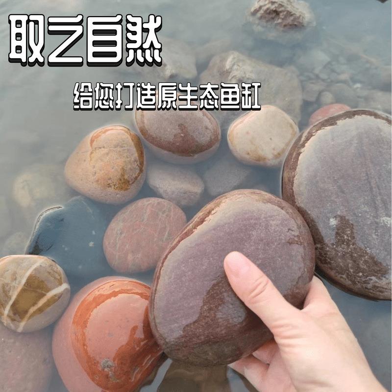 纯天然鹅卵石造景铺路压酸菜鱼缸大石头一件起批一件包邮亚马逊