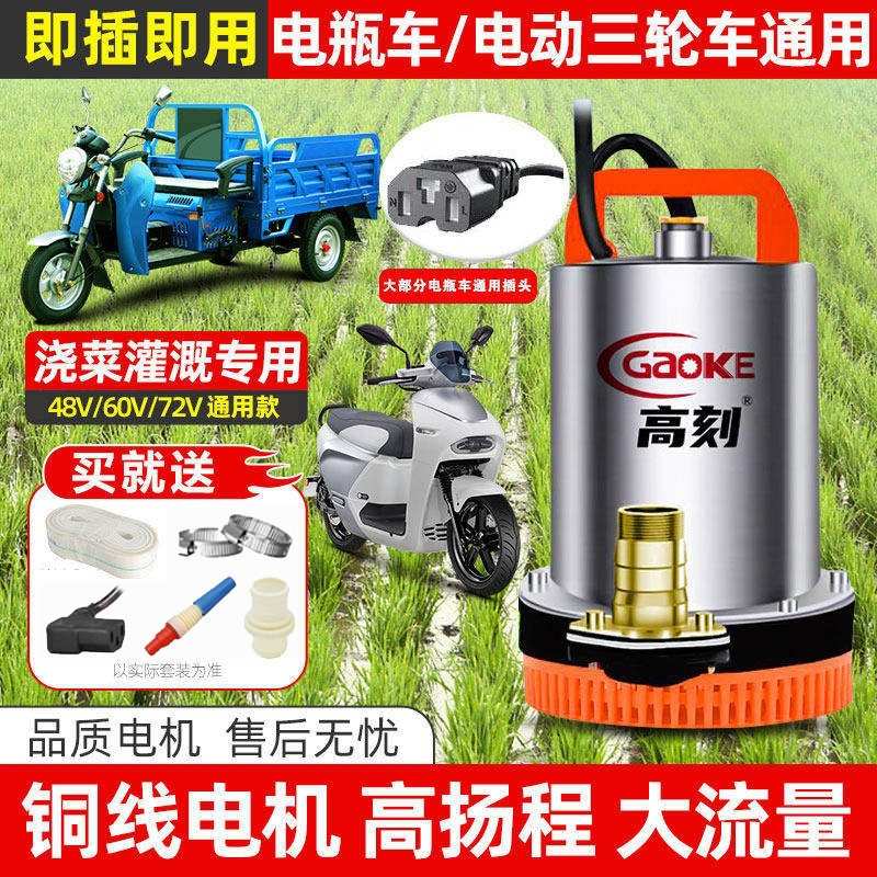 48v60v电动车抽水泵灌溉农用电瓶车小型直流潜水泵72V浇包邮