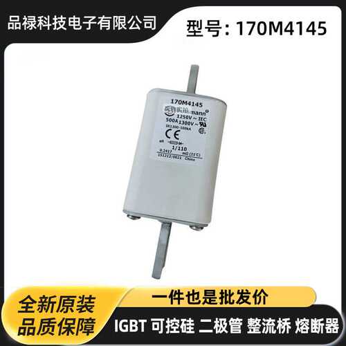 170M3808D 170M3809D 170M3810D 170M3811D原厂快速熔断器 保险丝