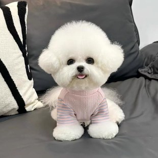 舒适保暖打底衫 D字拼接卫衣 宠物猫咪泰迪比熊狗狗衣服秋冬新款