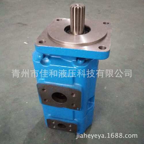 青州工作泵4120002266    临工装载机齿轮泵JHP2100/Gj0010A-XF