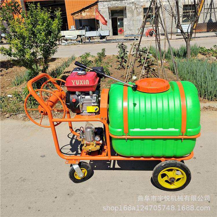 便携式汽油手推车 家用杀虫喷雾器 养殖消毒清洗机