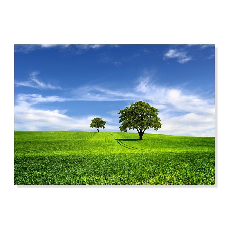 无框画简约田园风格风景挂画餐厅壁画卧室床头走廊过道墙面画