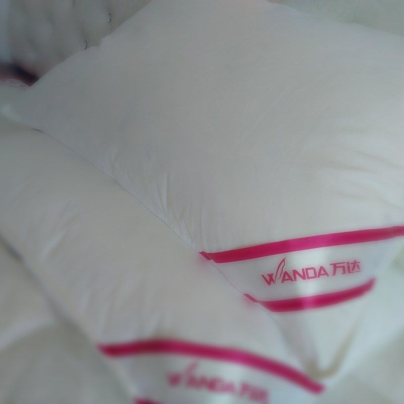 羽绒枕芯白鹅毛填充枕头酒店宾馆羽毛枕单人家用舒适护颈椎助睡眠