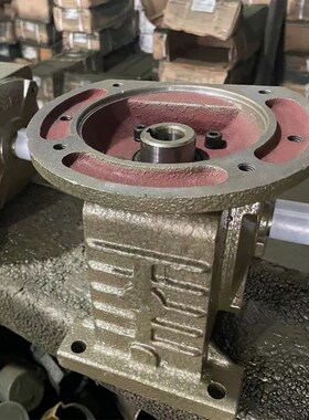 WPDZ50 60 70 80 100 120型蜗轮蜗杆减速机涡轮变速箱立式带法兰