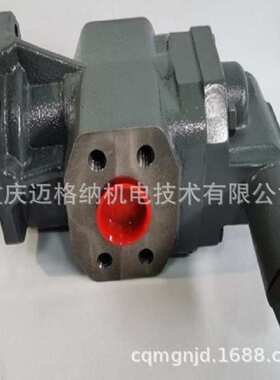 齿轮泵KRACHT克拉克齿轮泵贺德克KF50RF2