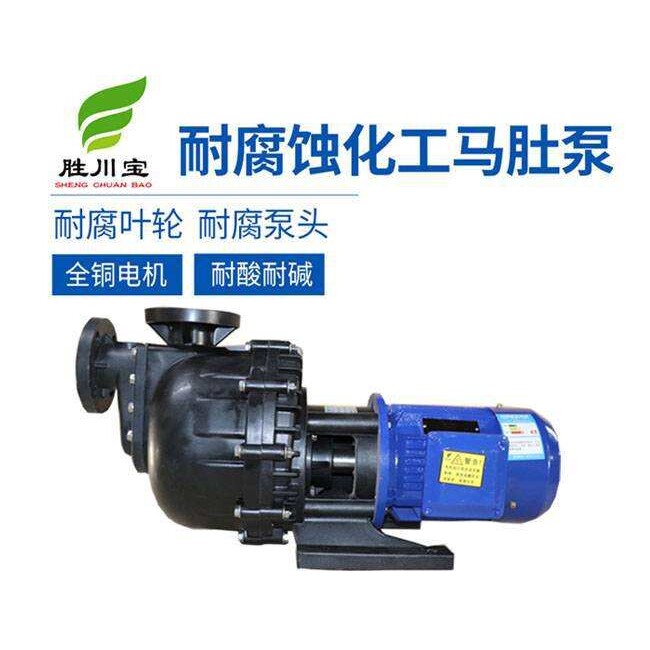 耐强酸碱大头泵马肚泵耐酸碱大头马肚泵 PVDF耐强酸碱自吸化工泵
