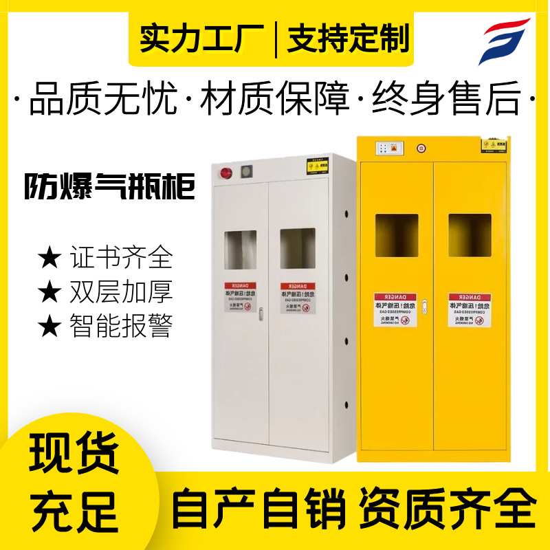 定制实验室气体安全柜智能报警排风防爆气瓶柜煤气罐储存柜钢瓶柜