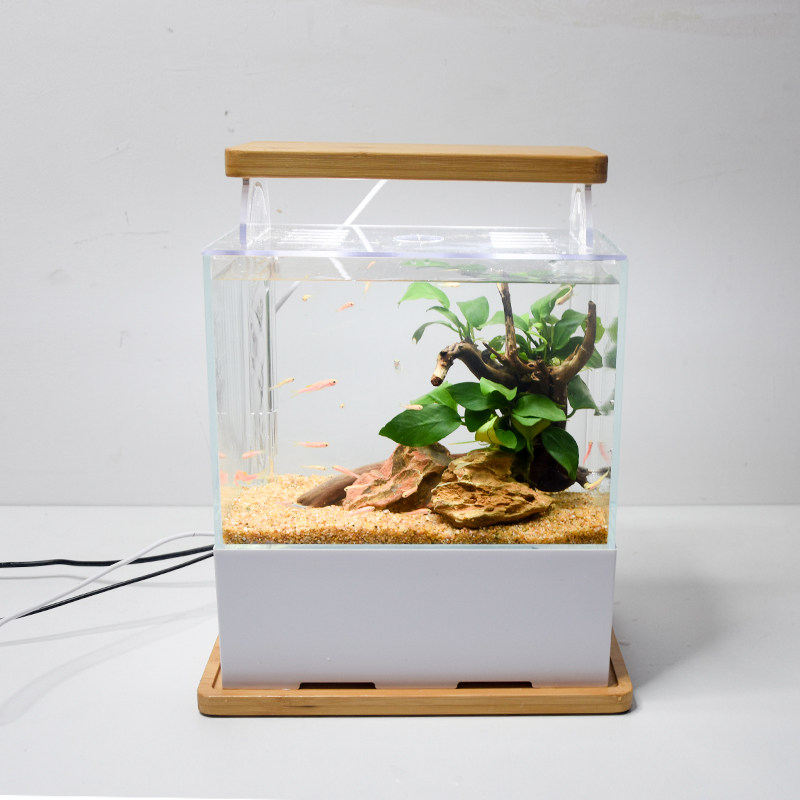 小型桌面底滤鱼缸微换观免景水微鱼缸迷你小型水族箱斗缸生态缸