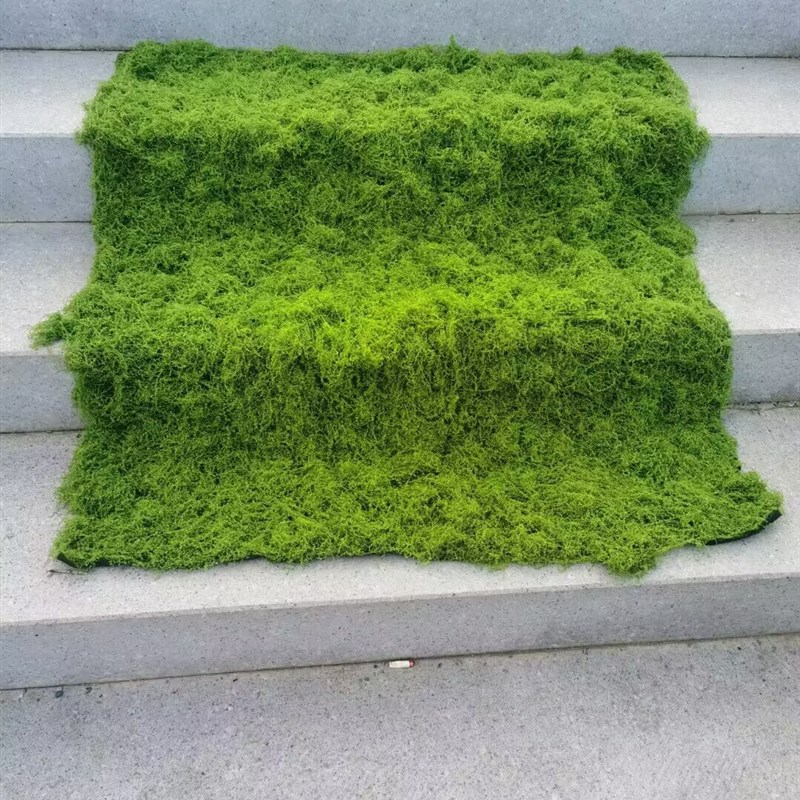 不掉色不掉渣不褪颜色苔藓草观皮景微装饰植绒假苔藓仿真青苔盆景