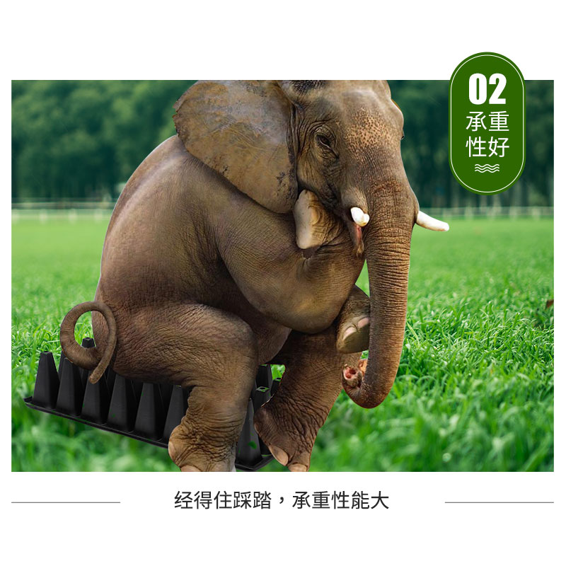 育苗盆育苗穴盘育苗盒蔬菜多肉扦插育苗箱种植穴盆营养育苗盘托盘