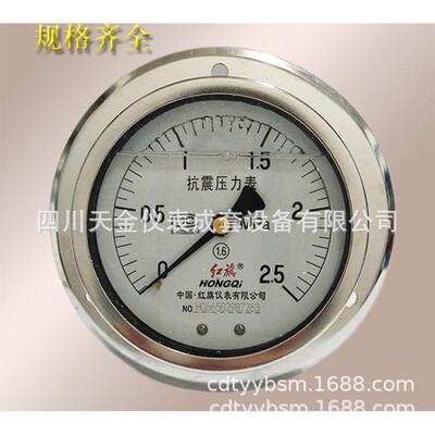 红旗轴向带边耐震压力表YN-100ZT充油防震水油压表0-11.62.5mpa