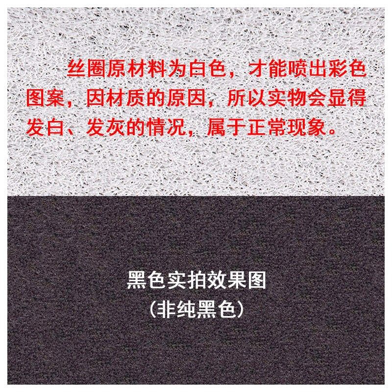 九号E100电动车脚垫E80c/E125/E200p电摩E系防水脚踏垫丝圈踏板垫