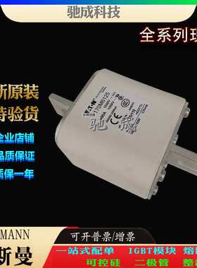 巴斯曼170M6125 170M6138 170M6139 大量现货厂价销售 快速熔断器