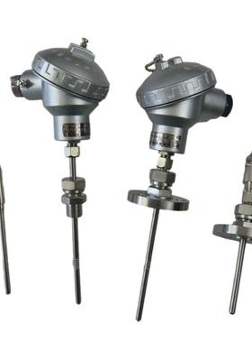 WRCK-431 WRCK-481T型铠装热电偶CK镍铬-镍硅铁水铸造钢水冶炼用