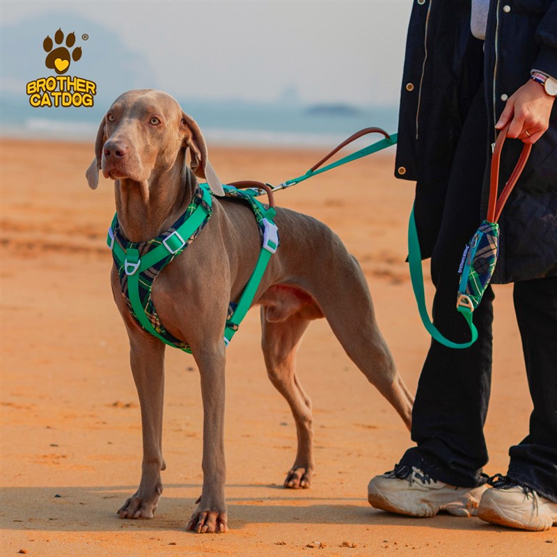 狗胸背狗带型犬宠物背带防爆冲脖圈伸缩大狗牵引绳外出牵引背心
