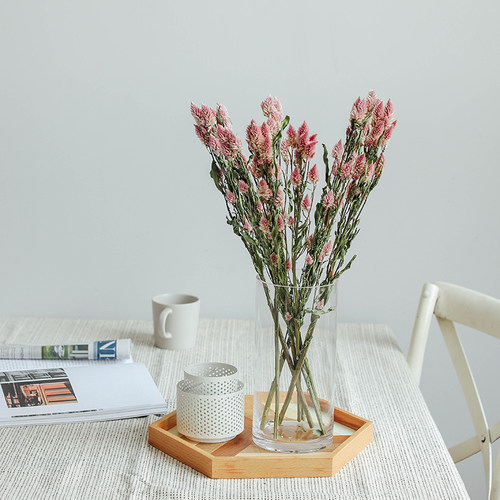 天然多头凤尾粉色干花diy材料插花搭配家居装饰 云南风干花束真花