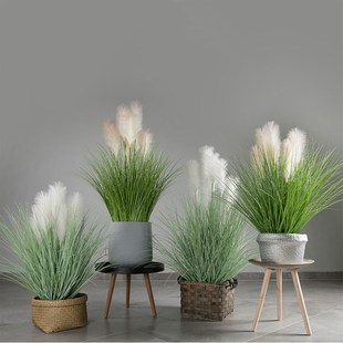 【芈阳】仿真蒲苇草大型盆景 芦苇蒲草水烛装饰摆件绿植橱窗陈列