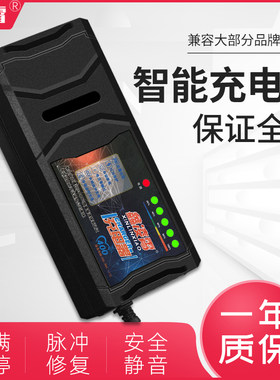 圣宝龙自动关机智能电动车电瓶充电器48V12AH60V20AH72V30A孔通用
