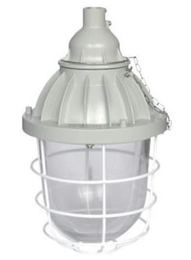 BAD-250系列隔爆型防爆灯BAD51-L250/BAD51-N250