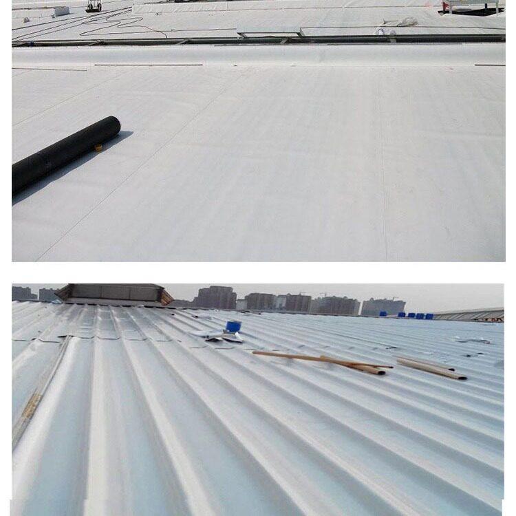免砸砖透明天冬聚脲防水涂料卫生间厨房阳台修缮屋顶水池防水胶