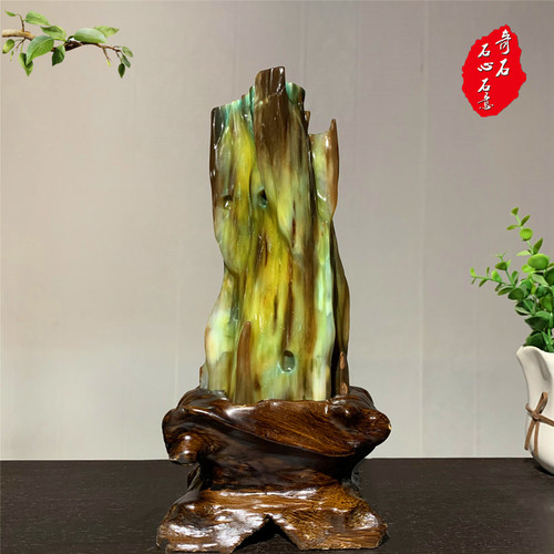缅甸天然树化玉绿料木化石玉石石头奇石观赏石办公  摆件送礼佳品