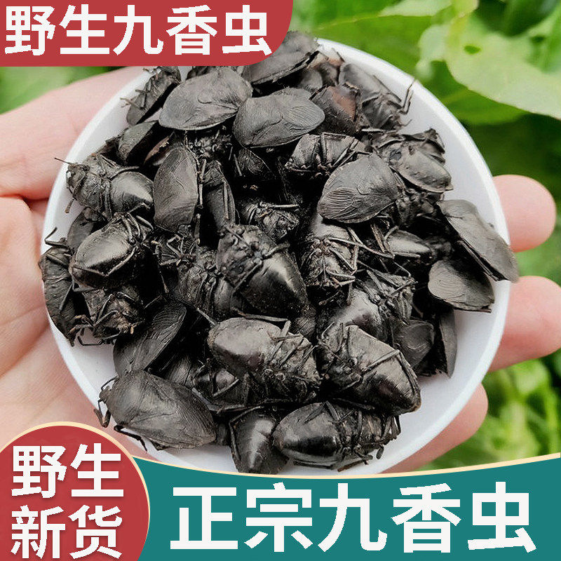 正品精选九香虫新货中药材500g正宗云南打屁虫屁巴虫臭壳子虫磨粉