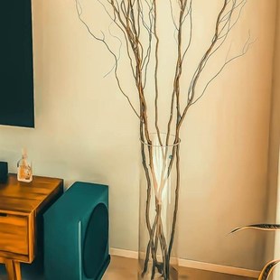 龙柳花瓶落地特大特高6080cm雪柳马醉木富贵竹专用玻璃透明水培瓶