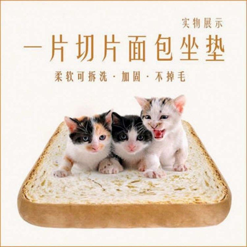 创意仿真吐司面包切片坐垫猫咪专用宠物垫子毛绒玩具抱枕,宠物/宠物食品及用品,猫窝/屋/帐篷/沙发,淘宝优惠券,粉丝福利购,淘宝优惠卷