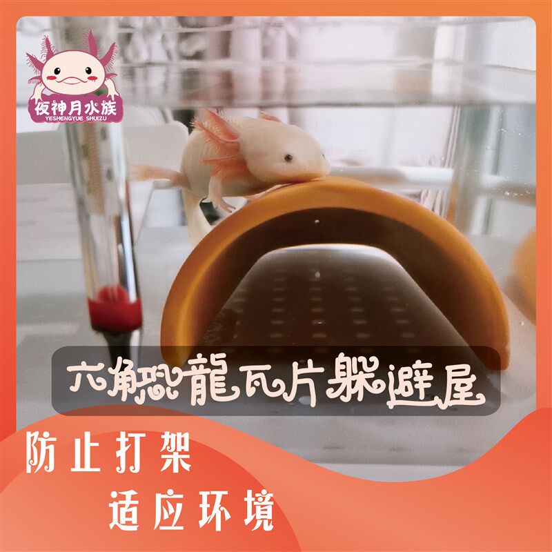 大号大洞口六角恐龙鱼缸躲避屋造景装饰布景防止互咬美观舒适水族
