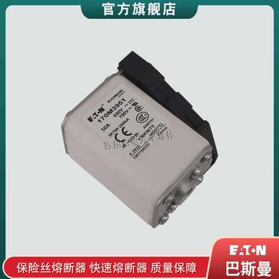 170M3951 3952 3953 3954 3955 巴斯曼bussmann快速熔断器保险丝