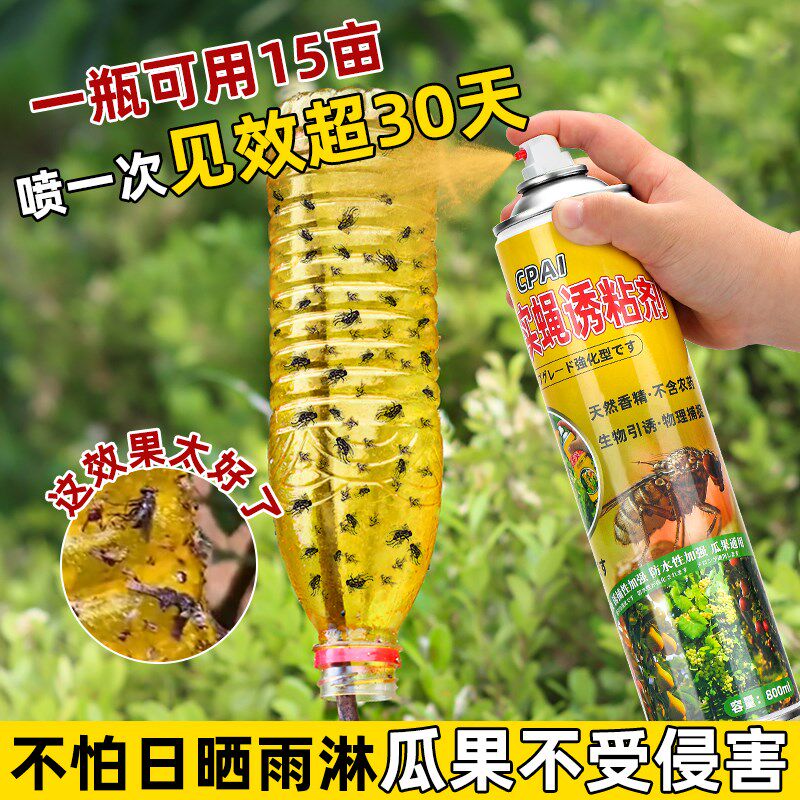 瓜果实蝇诱粘剂果蝇诱捕器果树园昆虫杀虫剂针锋引诱剂果蝇诱捕剂