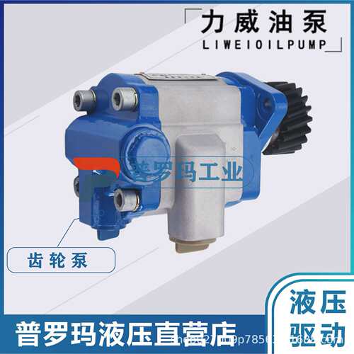 合肥力威转向油泵 QC22/16-6M1 汽车油泵 天力液压助力泵