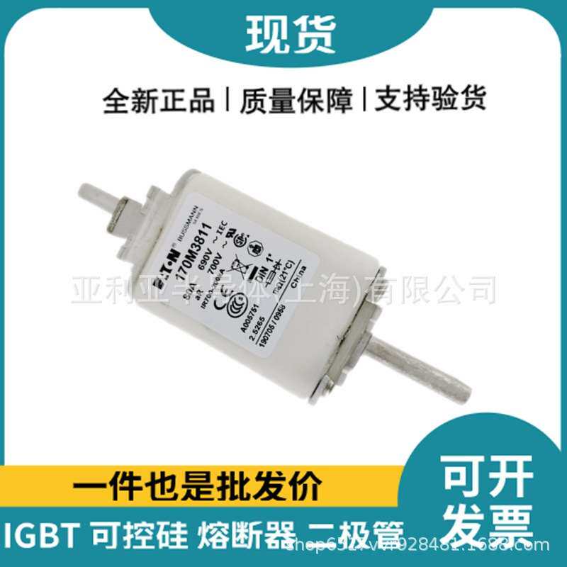 快速熔断器170M3810 170M3811 自恢复熔断器 半导体电子元器件