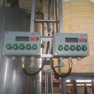 电子称重防爆仪表箱控制显示器电子秤地磅工厂称重温控箱屏显数码