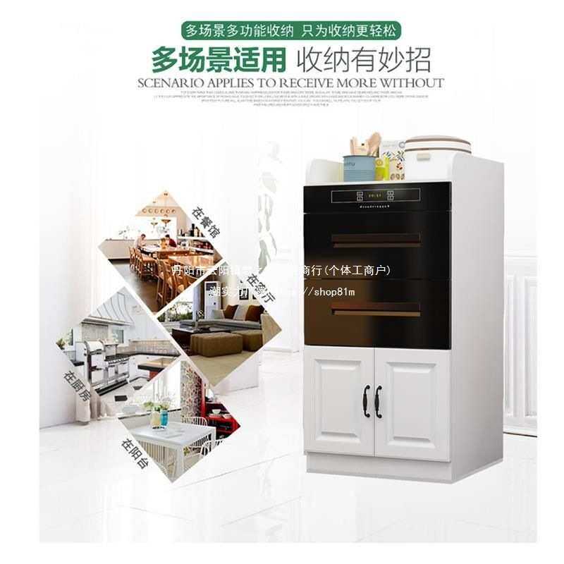 厨房台面嵌入式消毒柜洗碗机蒸烤箱柜子落地置物架电器收纳橱柜门