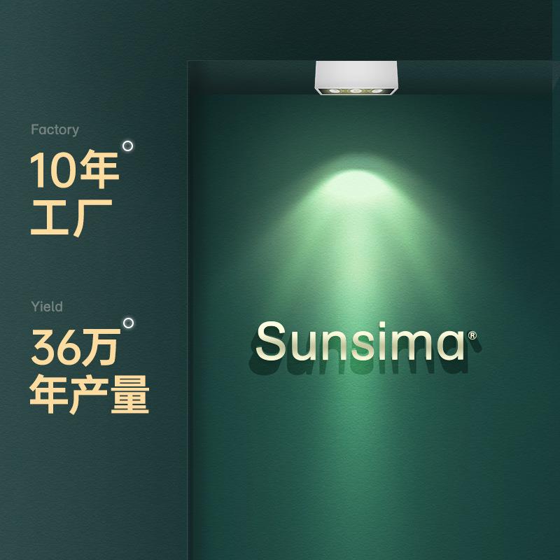 led明装格栅灯服装店前台豆胆灯牛眼灯商场单头双头cob斗胆灯其他