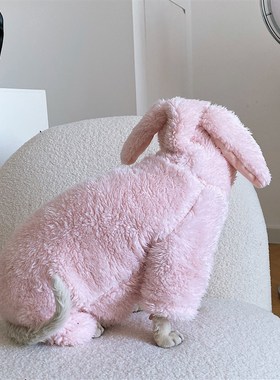 SPHYNX PT 无毛猫衣服斯芬克斯德文可爱四脚小兔子加厚冬保暖