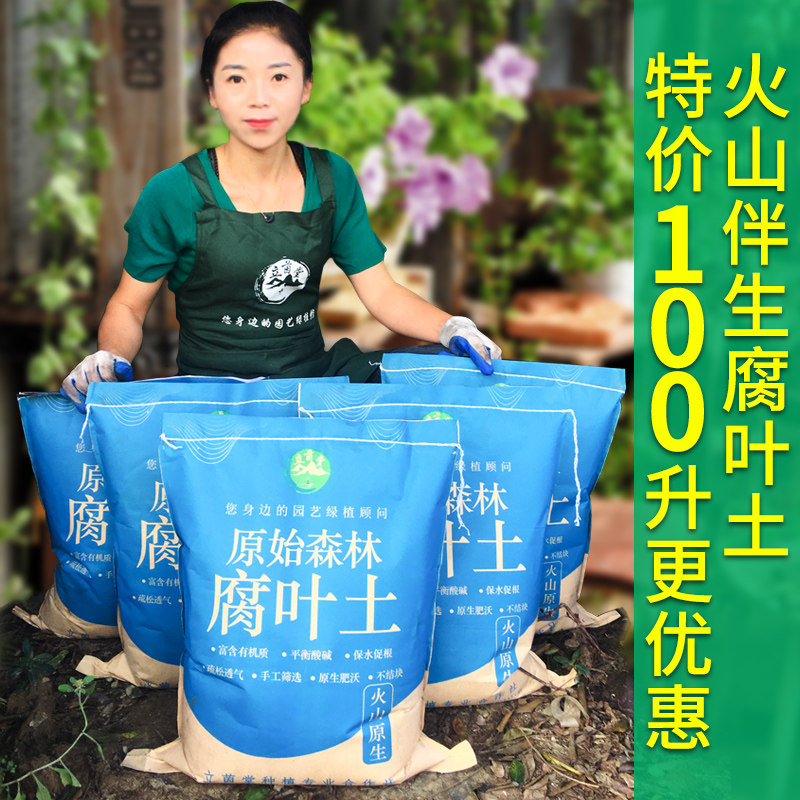 腐叶土腐熟营养土松针腐殖土家用养花种菜多肉山乌龟种植土100升