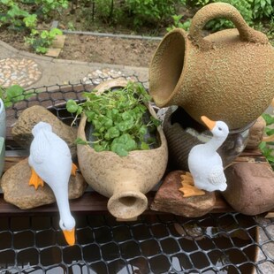 鱼缸配件大全造景流水景观陶罐多肉异形花盆带嘴庭院鱼池造景室外