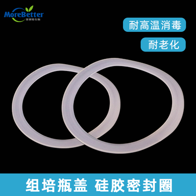 塑料玻璃通用组培瓶盖硅胶密封圈 盖子橡胶圈 垫圈 瓶盖塑料垫子