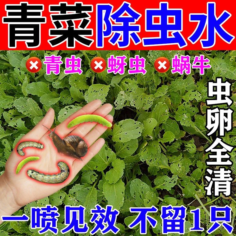 小青菜杀虫药农用蔬菜园菜地除虫杀蜗牛青虫蚜虫专用一滴净杀虫剂,鲜花速递/花卉仿真/绿植园艺,介质/营养土,淘宝优惠券,粉丝福利购,淘宝优惠卷