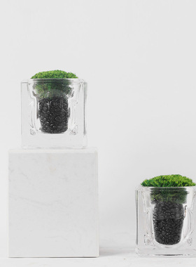 简约现代茶桌小盆景绿植摆件售楼处样间客厅酒店玻璃盆景装饰摆设