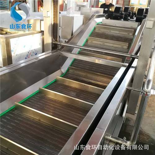 供应商用全自动洗菜机大型果蔬清洗机大枣枸杞果蔬气泡清洗机器