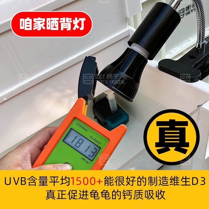 嘿匣子透明周转箱滴流过滤龟缸视窗周转箱养龟可视整理箱diy发色