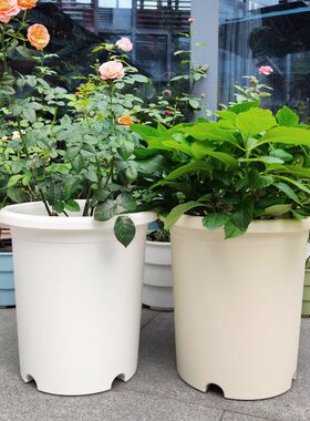 爱美特大号深型d花epot树脂e料塑盆月季绣球5/7/11青山加仑果树盆